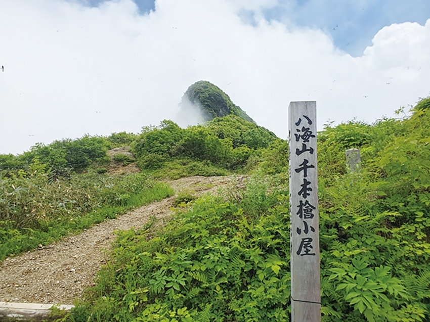 メインイメージ