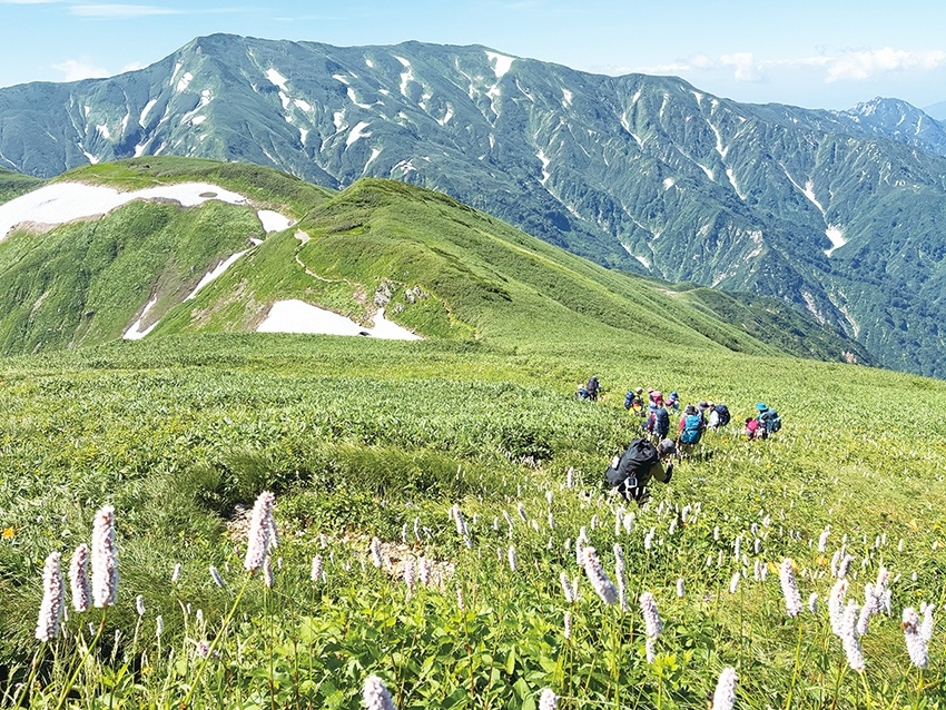 メインイメージ