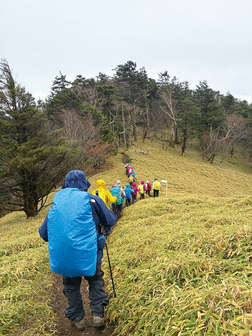 メインイメージ